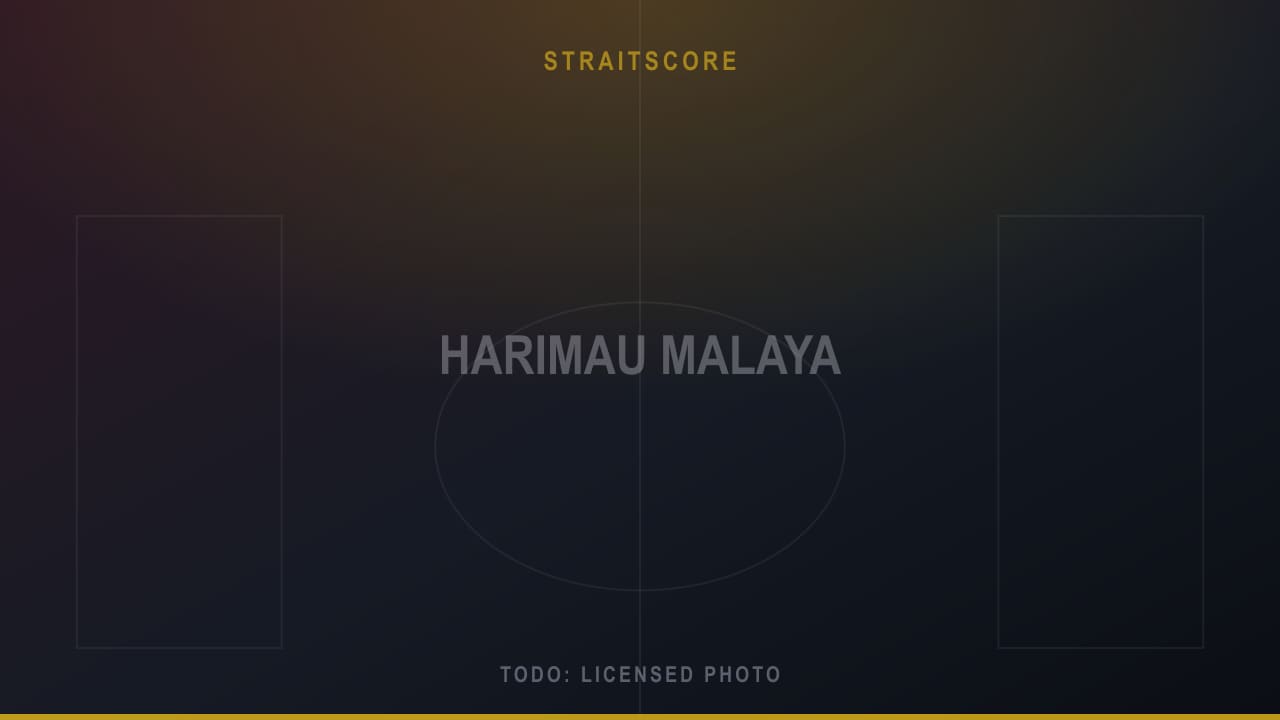 Placeholder image standing in for a photograph of the Malaysian national team lining up before kickoff.
