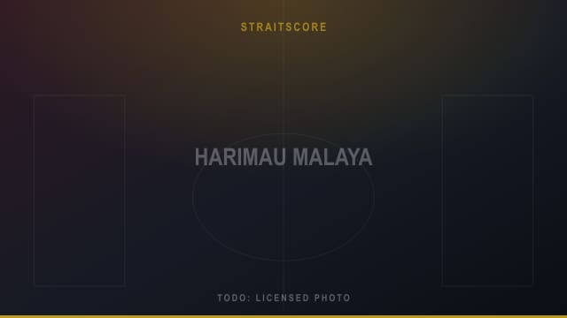 Placeholder image standing in for a photograph of the Malaysian national team lining up before kickoff.